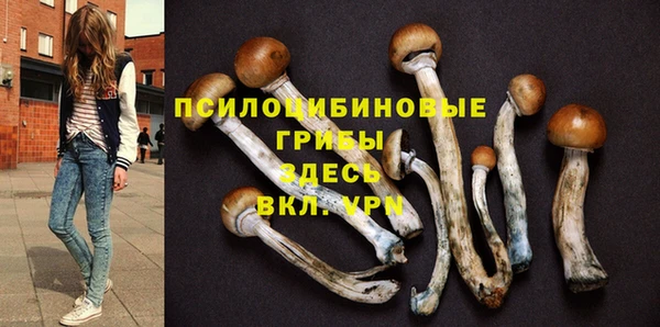 трава Баксан