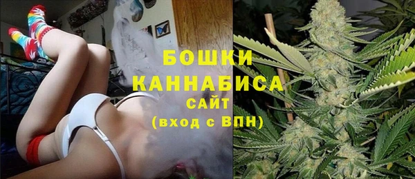 PSILOCYBIN Балахна