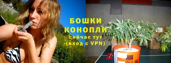 PSILOCYBIN Балахна